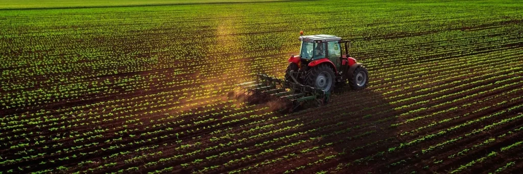 O Clamor por Moderação no Agronegócio: Desafios e Expectativas O Clamor por Moderação no Agronegócio: Desafios e Expectativas