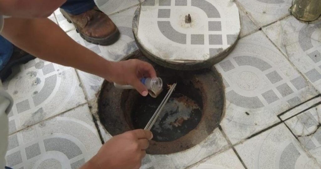 Saúde de Maceió Alerta sobre Prevenção e Atendimento em Picadas de Escorpião