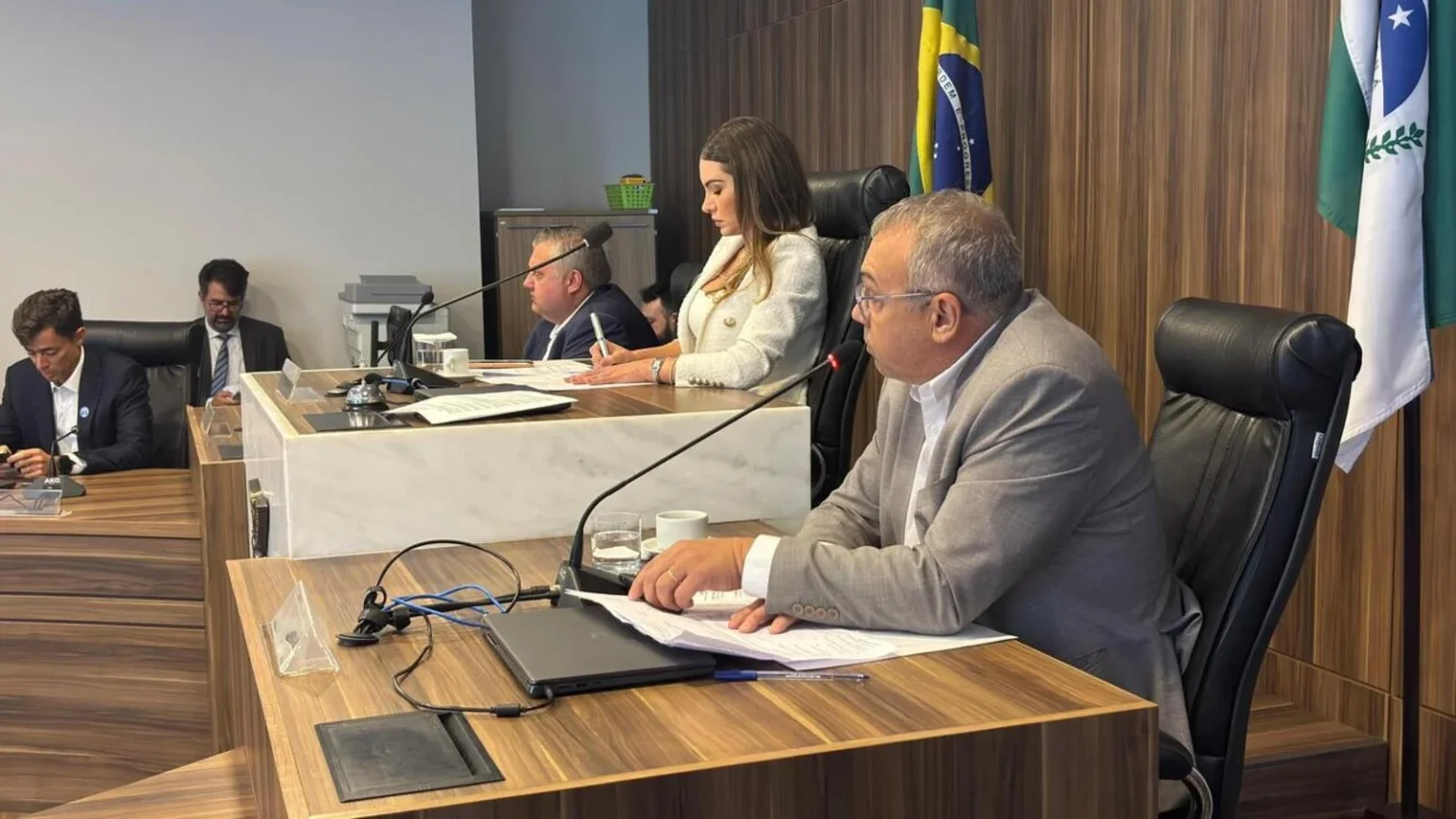 Toledo Destaca Potencial de Energias Renováveis em Reunião Parlamentar