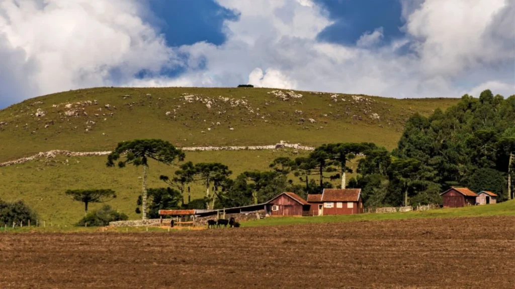 Abuso Patrimonial no Agro: O Crime Silencioso Que Afeta Famílias e Propriedades Rurais