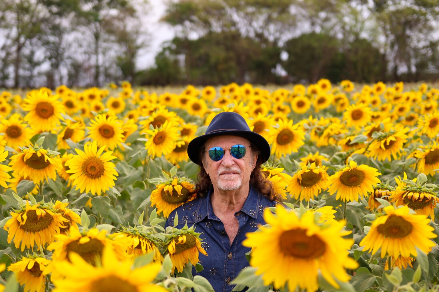 Alceu Valença em Curitiba: Desconto Imperdível na Turnê 80 GIRASSÓIS