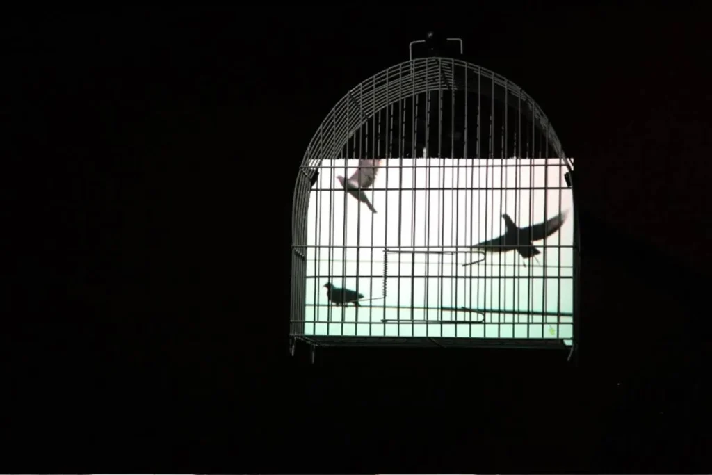 Curitiba em Alta: Exposições, Gastronomia e Eventos Imperdíveis para Hoje (28/04)