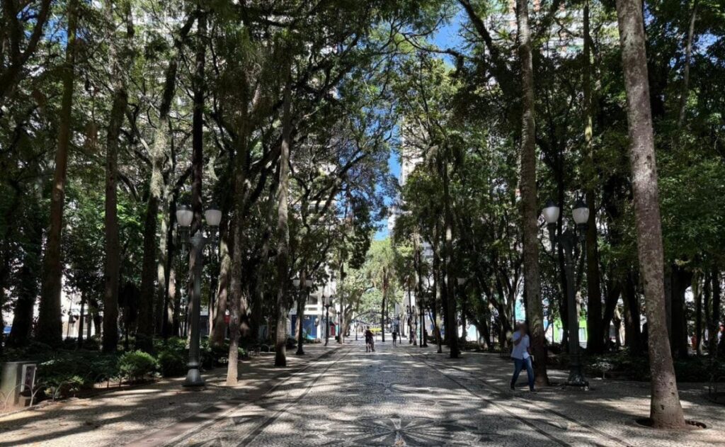 Curitiba: Sábado de Céu Limpo e Calor Intenso | Previsão do Tempo