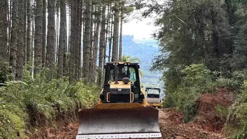 Formação Prática do Projeto Patrulheiros da Sustentabilidade Inicia em Toledo Formação Prática do Projeto Patrulheiros da Sustentabilidade Inicia em Toledo