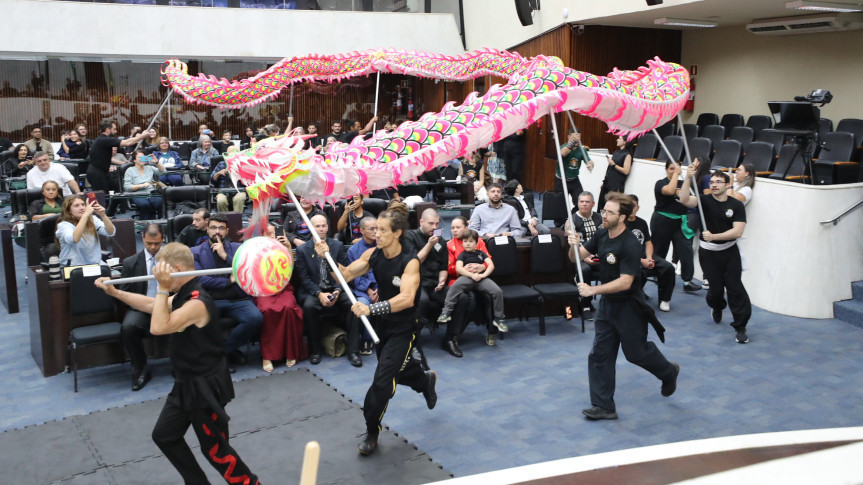 Homenagem ao Kung Fu: Valor Cultural e Esportivo em Destaque no Paraná Homenagem ao Kung Fu: Valor Cultural e Esportivo em Destaque no Paraná