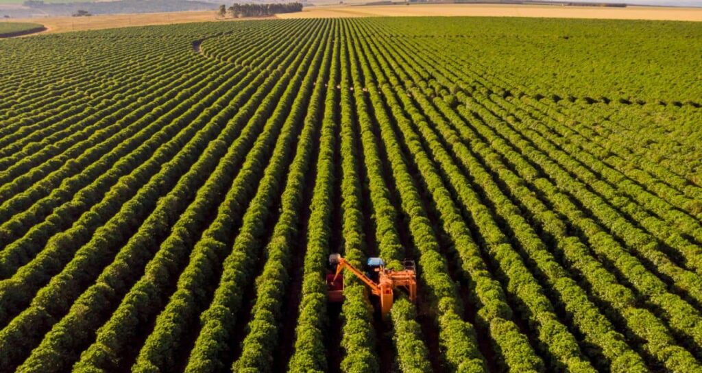Inadimplência no Agronegócio: Banco do Brasil (BBAS3) Enfrenta Desafios, Mas Espera Reviravolta em 2026 Inadimplência no Agronegócio: Banco do Brasil (BBAS3) Enfrenta Desafios, Mas Espera Reviravolta em 2
