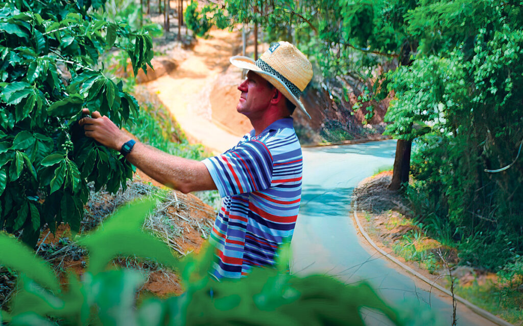 O Agronegócio Capixaba: Pilar Econômico do Espírito Santo em Crescimento