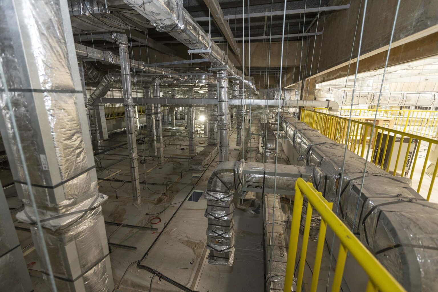 Paraná se destaca na produção de insumos veterinários para fortalecer a saúde animal