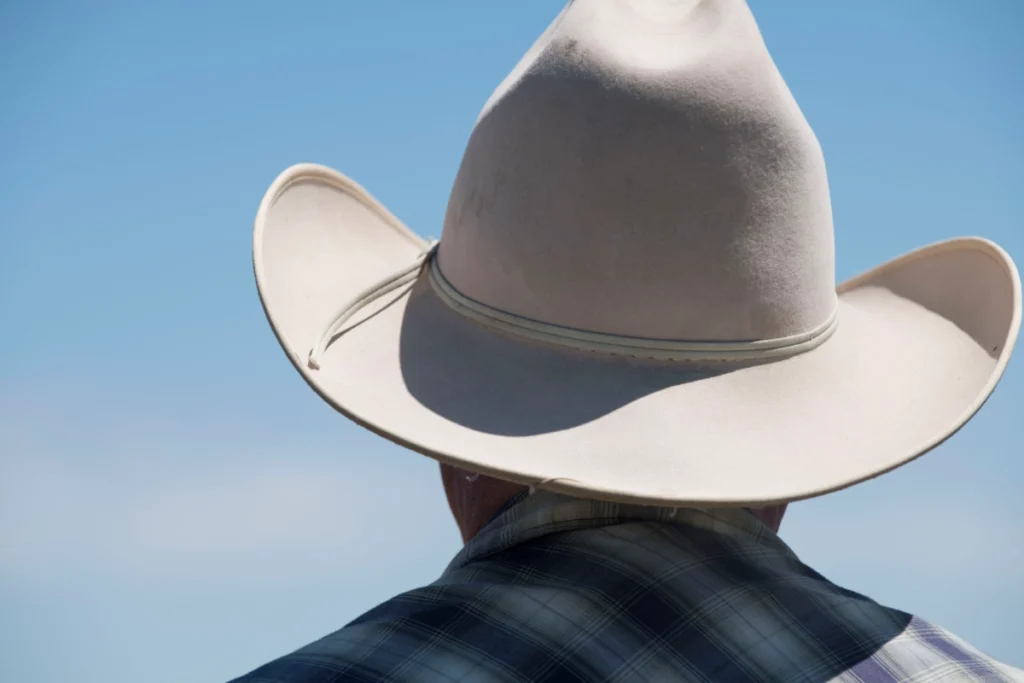 Parque Marinho no Sul do Brasil: Conflito Entre Conservação e Interesses Econômicos