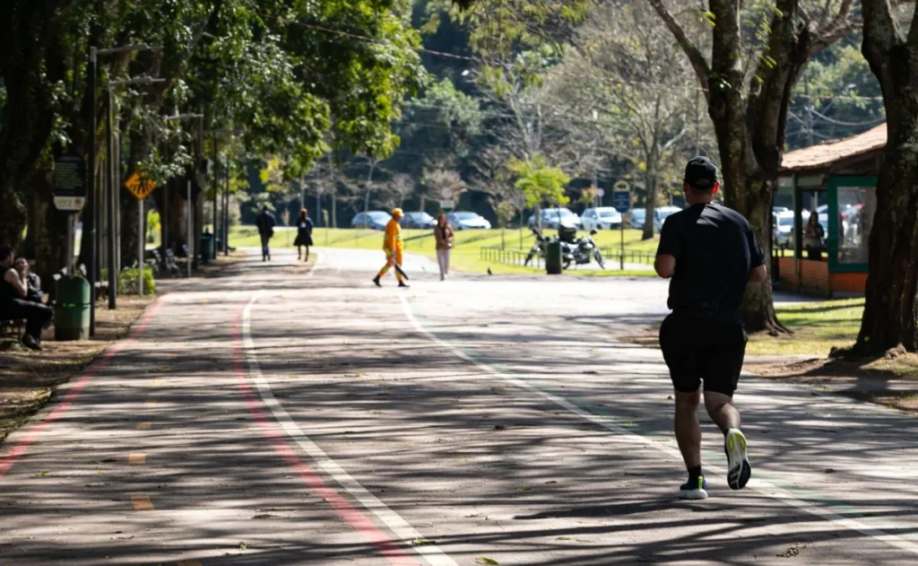 Previsão do Tempo em Curitiba: Nublada pela Manhã, Sol pode Surge à Tarde