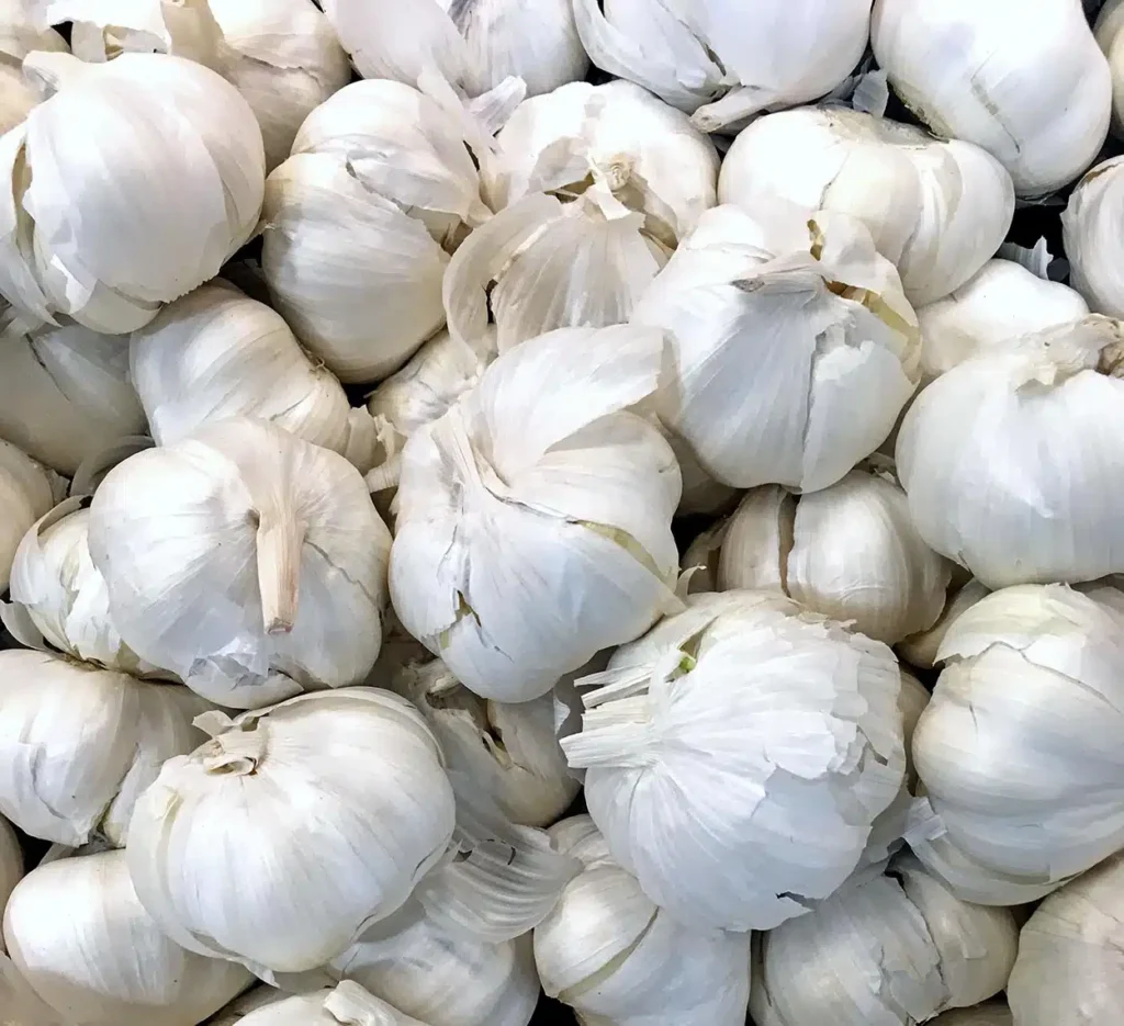 Produção de Alho no Brasil Enfrenta Desafios com Aumento das Importações