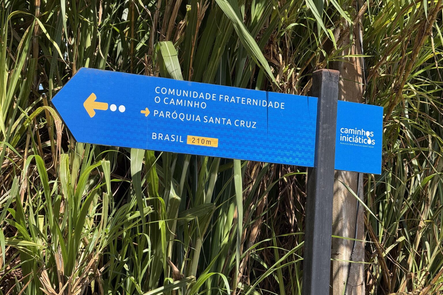 Reality Show Revela o Caminho de Turismo Religioso no Paraná Reality Show Revela o Caminho de Turismo Religioso no Paraná