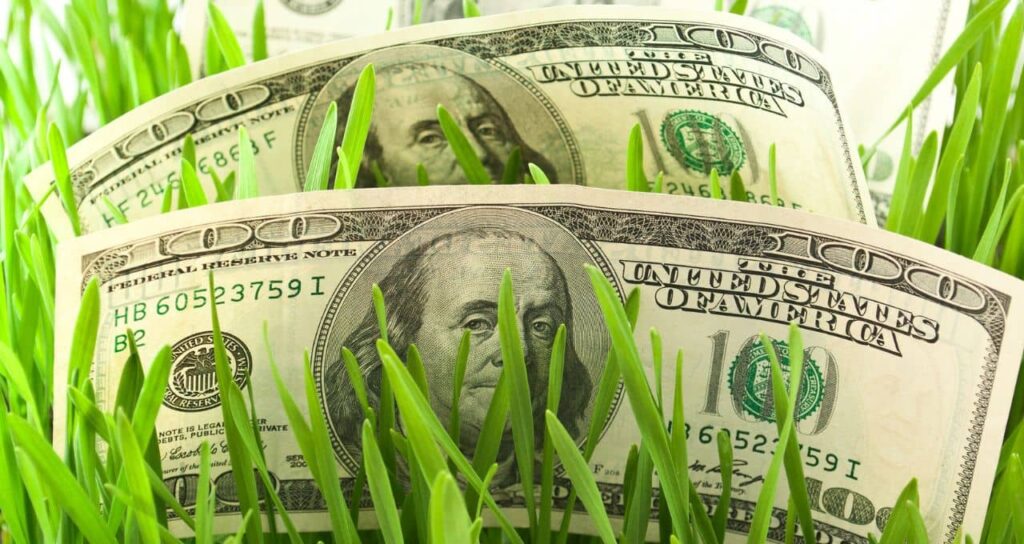 Recuperações Judiciais no Agronegócio: Um Caminho Difícil e Arrependimentos Crescentes