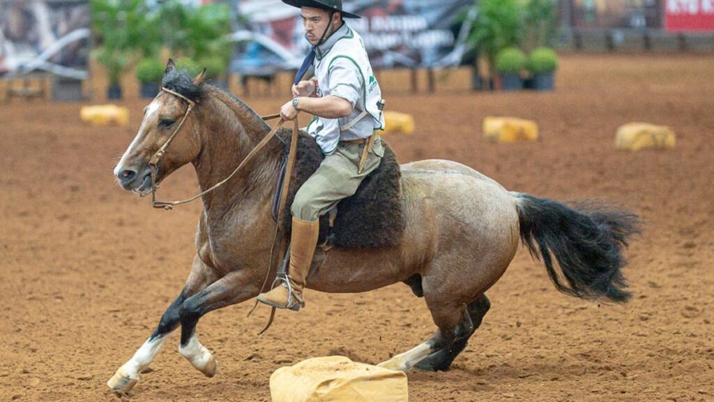 Rodeio Internacional de Pelotas: 29ª Edição Promete Atrair 20 Mil Pessoas Rodeio Internacional de Pelotas: 29ª Edição Promete Atrair 20 Mil Pessoas