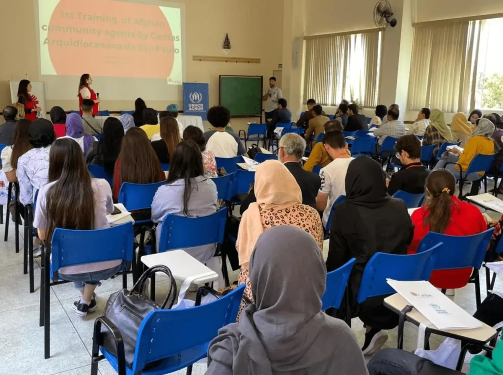 UFPR Celebra 10 Anos de Revalidação de Diplomas para Refugiados e Migrantes