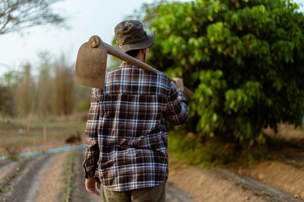 Crescimento do Agronegócio: Um Gigante na Geração de Empregos em 2025