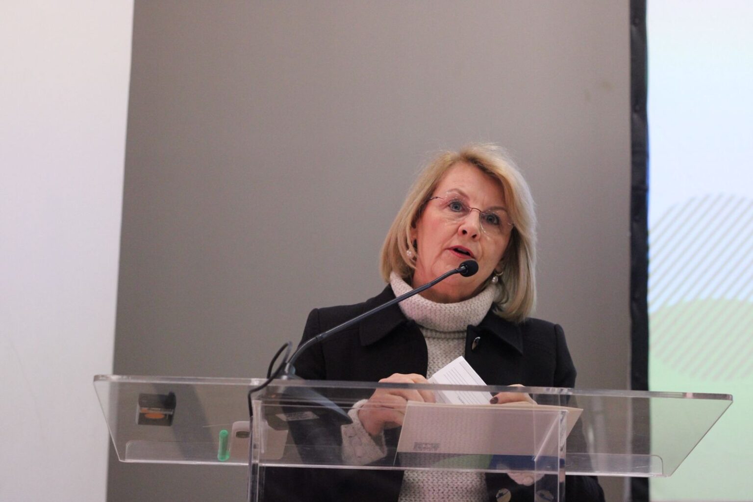 Márcia Huçulak Defende Integração entre Técnica e Política na Saúde