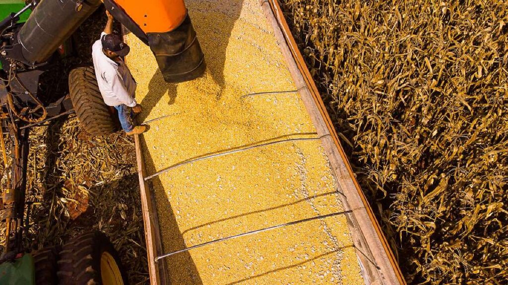 Mato Grosso se Destaca no Agronegócio com Previsão de R$ 206 Bilhões em 2026