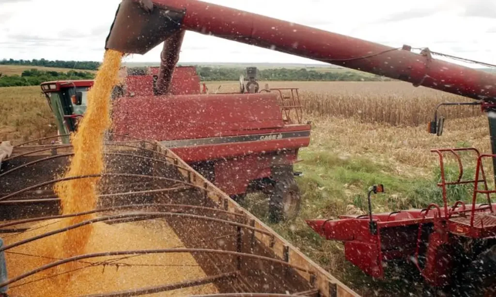 Recuperação do Agronegócio: A Nova Dinâmica do Crédito e Seus Desafios
