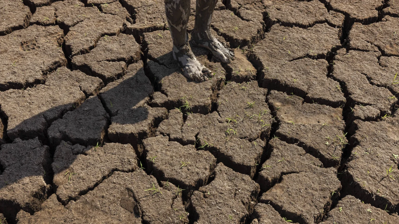 El Niño já começou e pode intensificar-se para nível moderado ou forte, alerta agência dos EUA El Niño já começou e pode intensificar-se para nível moderado ou forte, alerta agência dos EUA