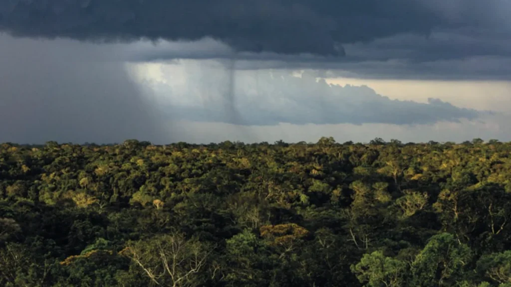 Mudanças Climáticas e Desmatamento Agravam Sensibilidade das Chuvas na Amazônia até 2050 Mudanças Climáticas e Desmatamento Agravam Sensibilidade das Chuvas na Amazônia até 2050