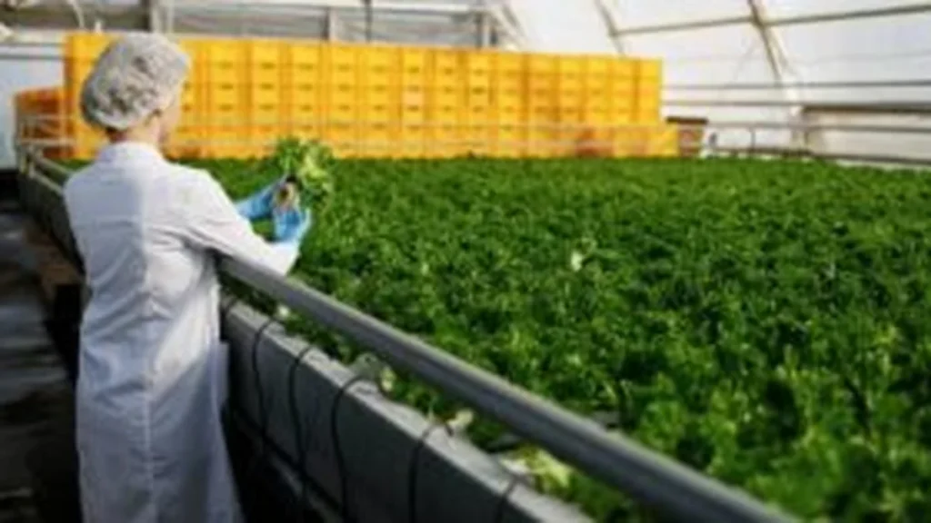 Paraná e Portugal firmam parceria para doutorado internacional em tecnologia agroalimentar