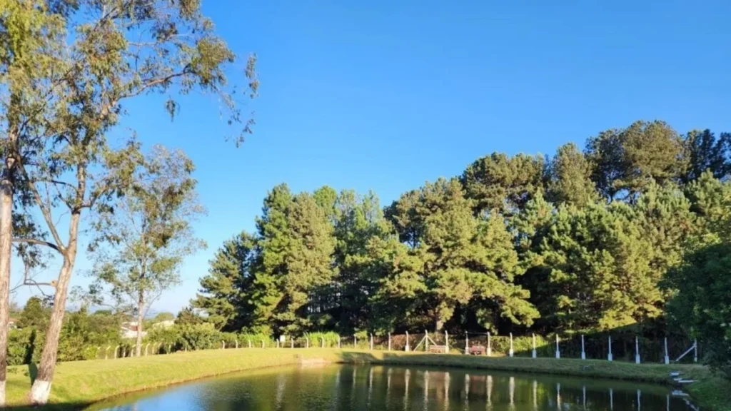 Empresa da Grande Curitiba Intensifica Cultura Sustentável no Mês do Meio Ambiente
