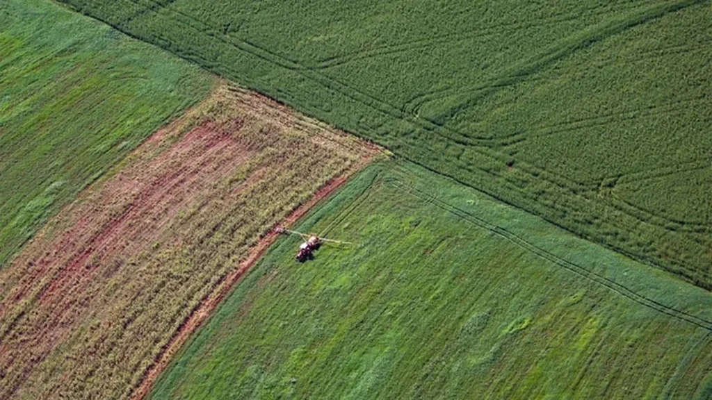 Agronegócio do Paraná cresce 13% e movimenta R$ 212,6 bilhões em 2025