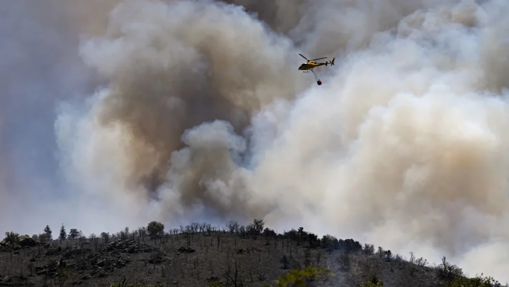 Incêndios Devastam Mais de 17 Mil Hectares na Europa com Calor Extremo em 2024 Incêndios Devastam Mais de 17 Mil Hectares na Europa com Calor Extremo em 2024