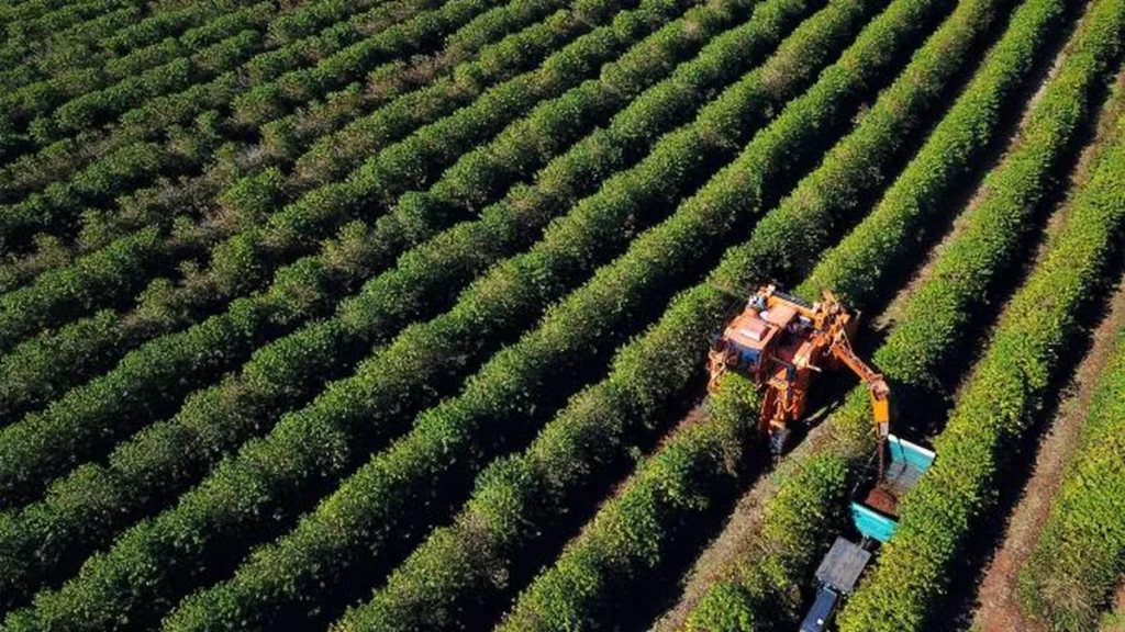 Agro e Serviços Mantêm Economia do Paraná Resiliente Mesmo com Juros Altos e Incertezas Globais