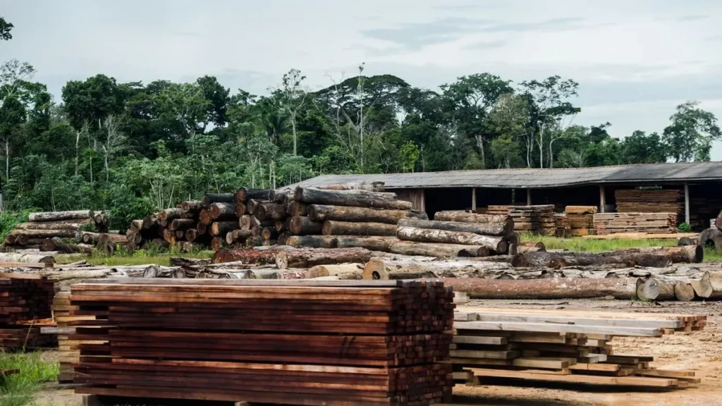Tarifaço dos EUA Impacta Fortemente o Setor Madeireiro do Paraná Tarifaço dos EUA Impacta Fortemente o Setor Madeireiro do Paraná